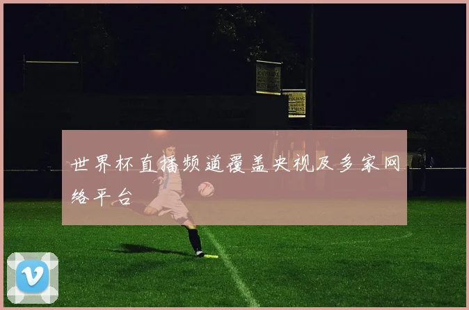 世界杯直播频道覆盖央视及多家网络平台